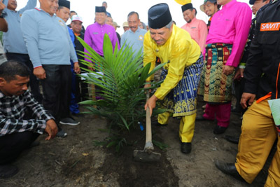 Bupati Alfedri Lakukan Penanaman Perdana Program Replanting di Koto Gasib